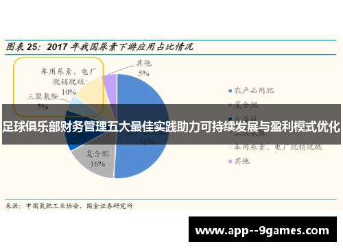 足球俱乐部财务管理五大最佳实践助力可持续发展与盈利模式优化